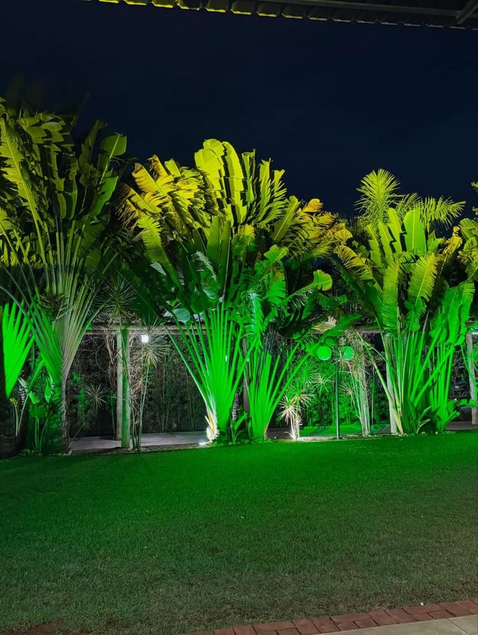 Foto Ayalla Eventos