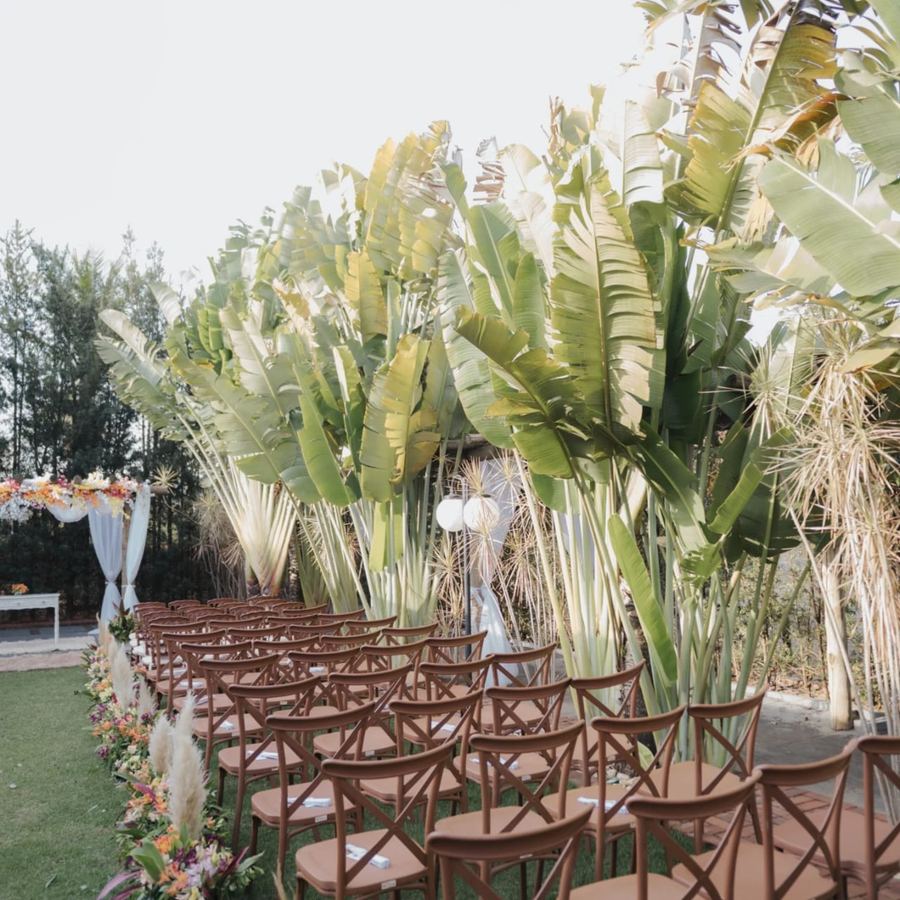Foto Ayalla Eventos